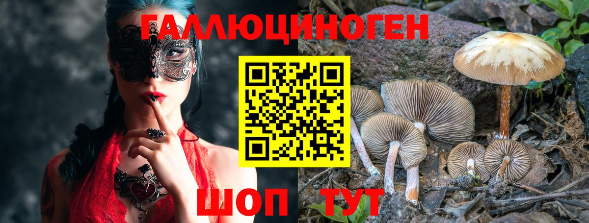 Галлюциногенные грибы Magic Shrooms Новокуйбышевск