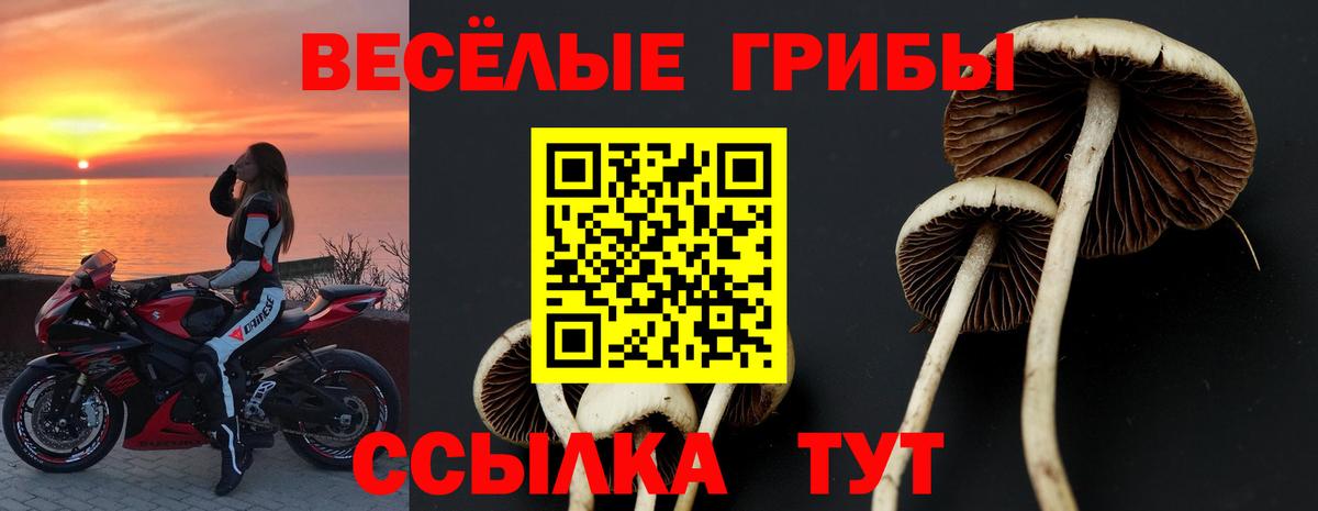 Псилоцибиновые грибы MAGIC MUSHROOMS  Вход с VPN  Новокуйбышевск 